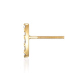 馬蹄ピアス Horseshoe Earrings