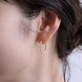 Hoop Earring - airy brilliance
