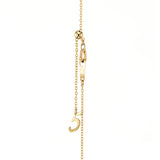 Horseshoe Necklace