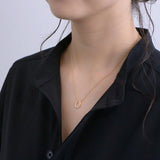 Horseshoe Necklace